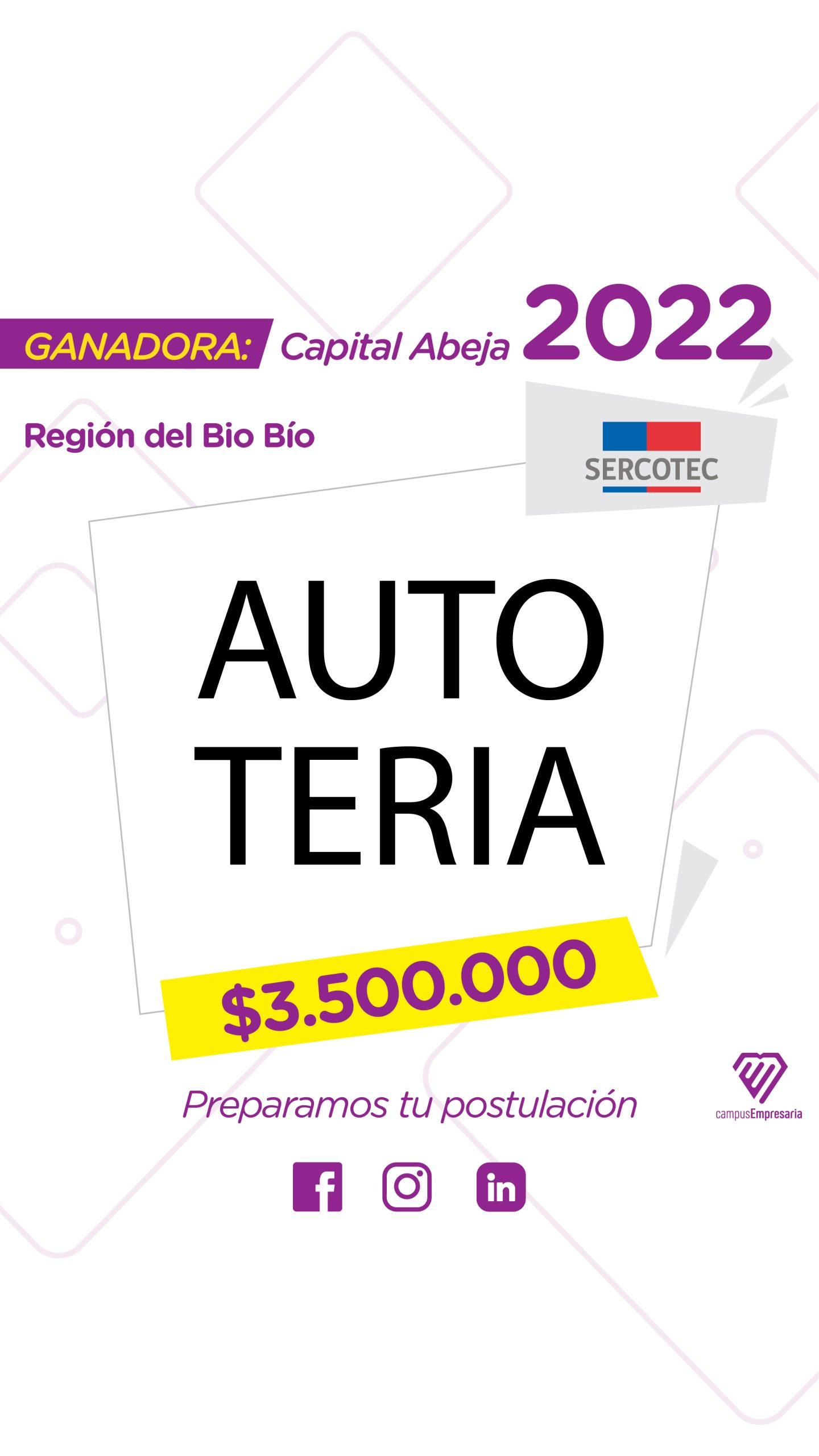 CE todos los ABEJA-07