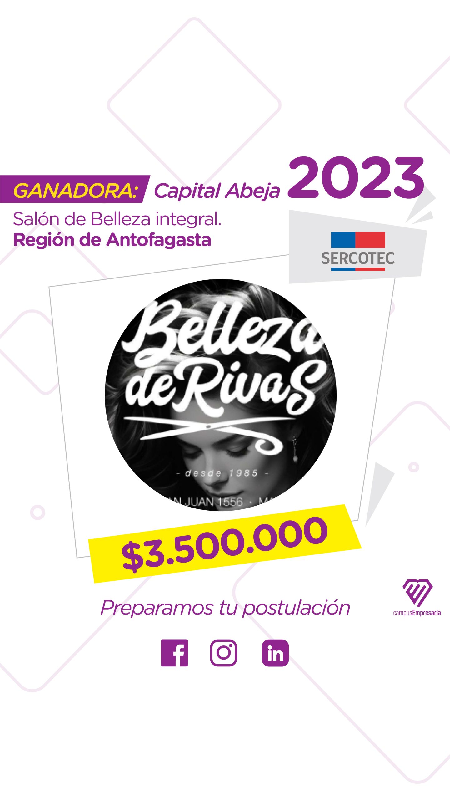 CE todos los ABEJA-10
