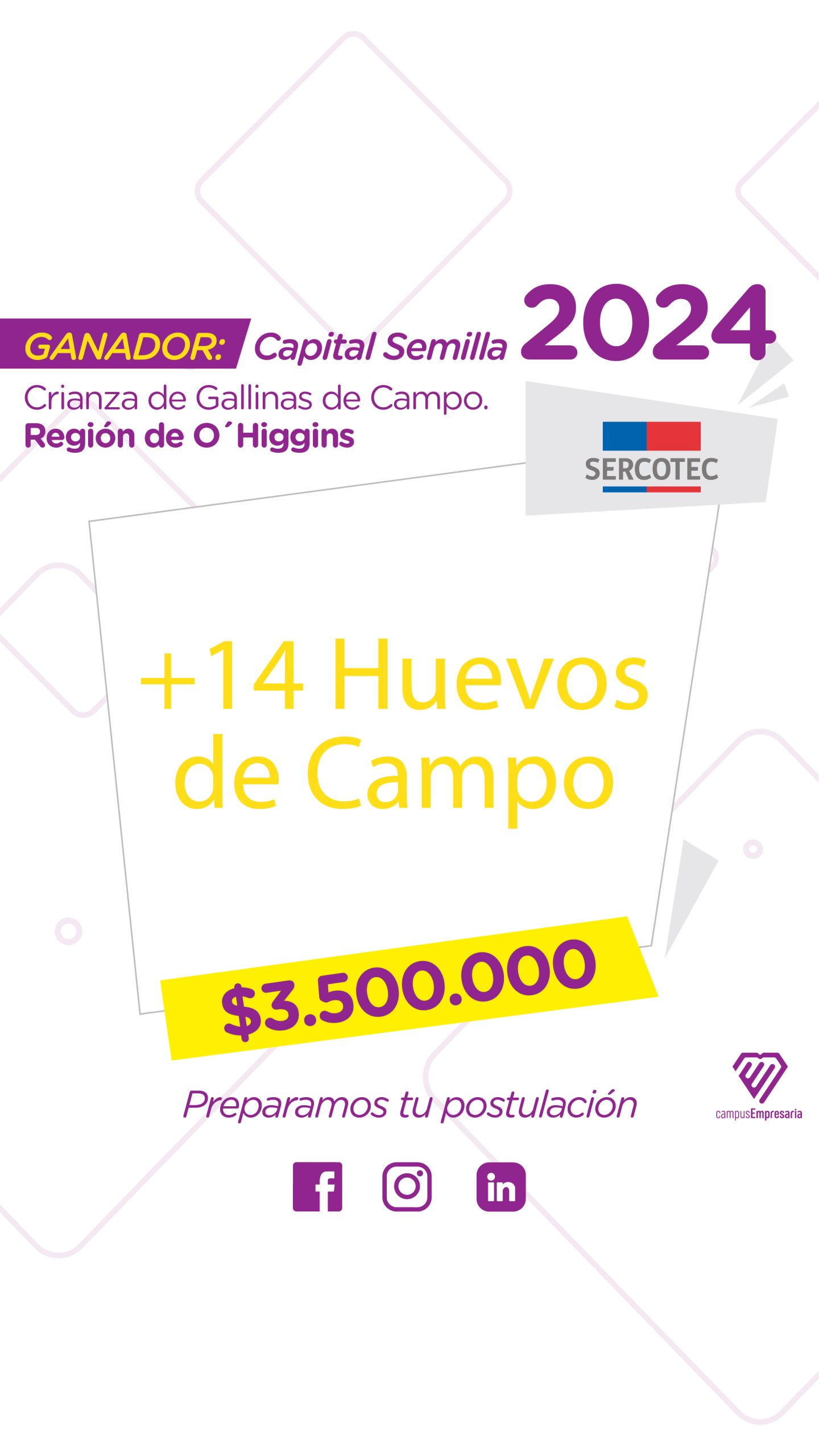 CE todos los SEMILLA-16